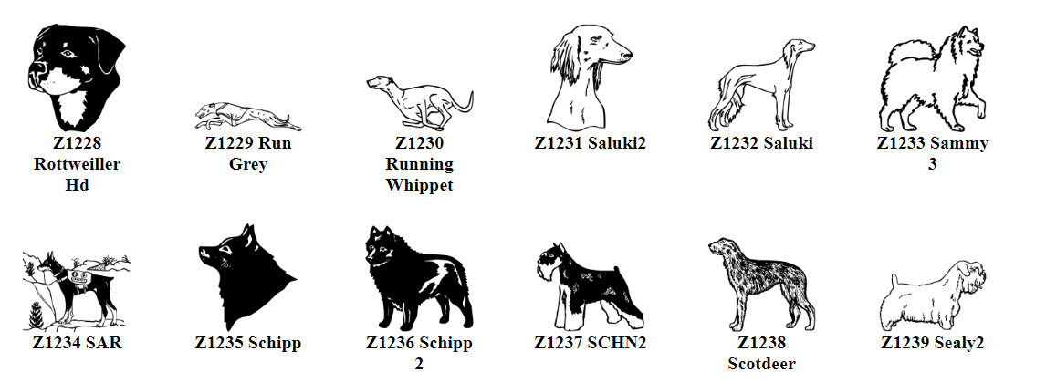 Screenshot 2023-12-13 165557